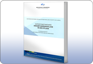 Abbildung des Buches "Expertenstandard in der Dekubitusprophylaxe"